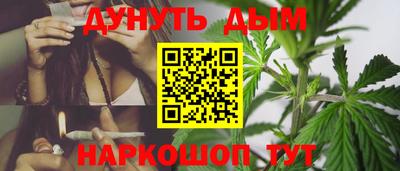 прущие крисы Аша